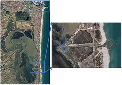 Early Alert of Biological Risk in a Coastal Lagoon Through eDNA Metabarcoding